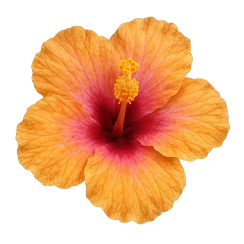 Flower 2