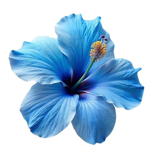 Flower 5